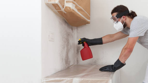 Professional Mold Removal technician working in Waverly, MI